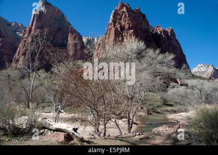 Zion Canyon National Park, Utah, United States of America, North America Stock Photo