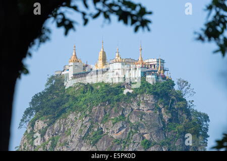 Buddhist temple on Popa Taung Kalat, Mount Popa, Myanmar (Burma), Asia Stock Photo