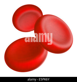 Illustration of human blood cells - isolated on white Stock Photo