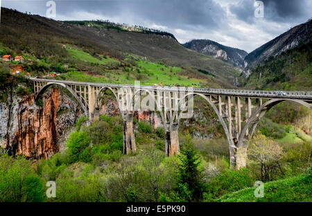 Tara river canyon bridge. Stock Photo