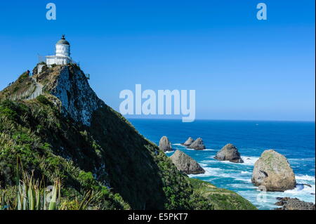 Nugget Point Lighthouse, the Catlins, South Island, New Zealand, Pacific Stock Photo