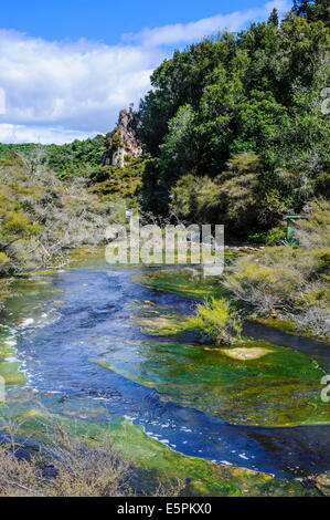 Geothermal River in Waimangu Volcanic Valley - New Zealand Stock Photo ...