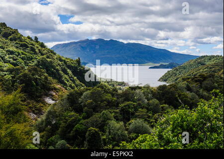 View over Lake Rotomahana, Waimangu Volcanic Valley, North Island, New Zealand, Pacific Stock Photo