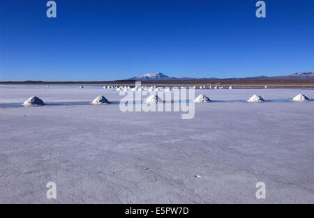 Salterns in the Uyuni salar in Bolivia. Stock Photo