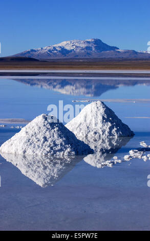 Salterns in the Uyuni salar in Bolivia. Stock Photo