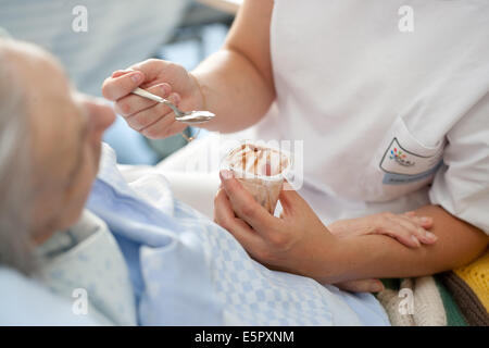 Auxiliary nurse helping an elderly person to take meal; Residential home for dependent elderly person, Limoges, France. Stock Photo