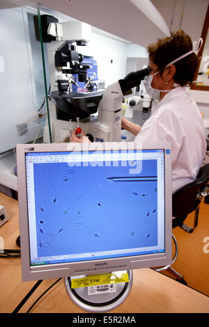 Technician using a light microscope to inject human sperm into a human egg cell (ovum) during in vitro fertilisation (IVF) This Stock Photo