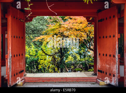 Nara, Japan at Kasuga-Taisha Shrine with fall foliage. Stock Photo