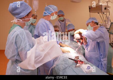 Woman giving birth by ceasarean, Obstetrics and gynaecology department, Saintonge hospital, Saintes, France. Stock Photo