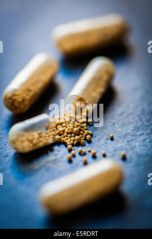 Brewer's yeast capsules. Stock Photo