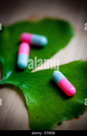 Ginkgo biloba and pills. Stock Photo