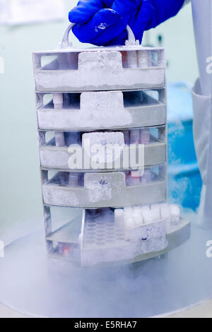 Cryopreservation of samples in liquid nitrogen, Human Molecular Oncology laboratory of Oscar Lambret cancerology center, Lille, Stock Photo