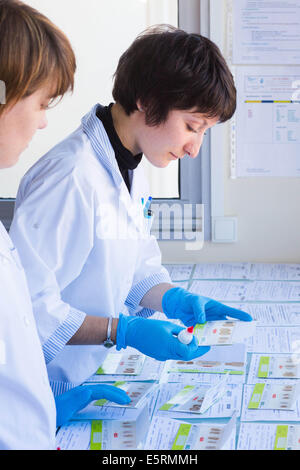 Hemoccult test in laboratory. Stock Photo