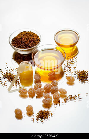 Various apiculture products: honey, royal jelly, pollen. Stock Photo