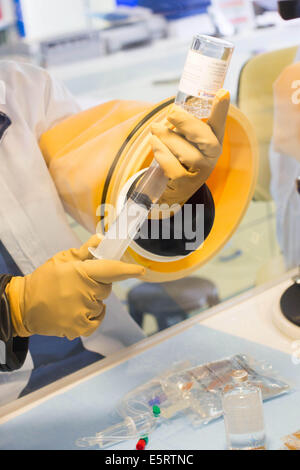 A compounder is preparing chemotherapy treatments under glove box. Limoges hospital pharmacy. Stock Photo