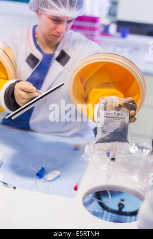 A compounder is preparing chemotherapy treatments under glove box. Limoges hospital pharmacy. Stock Photo