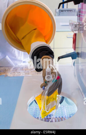 A compounder is preparing chemotherapy treatments under glove box. Limoges hospital pharmacy. Stock Photo