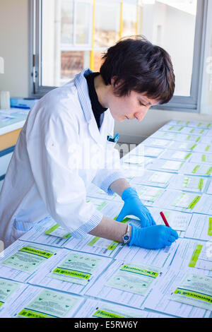 Hemoccult test in laboratory. Stock Photo