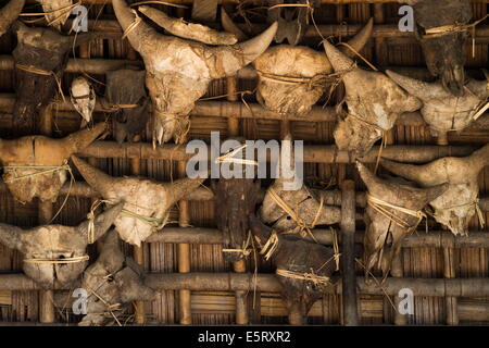 Skulls of mython (wild ox) that have been sacrificed, on exterior wall of house, Krai Do (Burmese: Kyar Hto) village Stock Photo