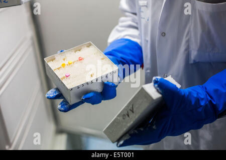 Cryopreservation of tumor samples, Tumor bank of Tenon hospital, Paris, France. Stock Photo