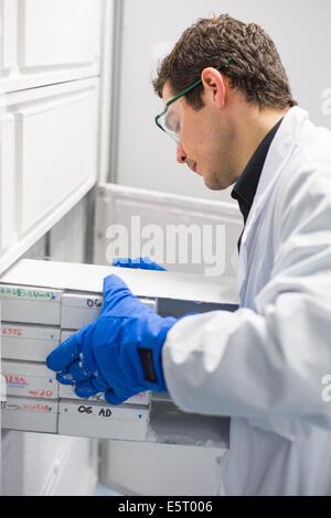 Cryopreservation of tumor samples, Tumor bank of Tenon hospital, Paris, France. Stock Photo