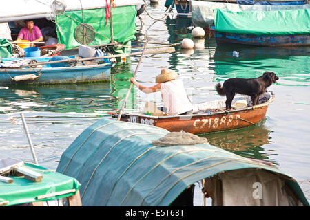 Chinese Woman In A Straw Hat Rowing Her Dog In A Small Boat Across The Causeway Bay Typhoon Shelter, Hong Kong. Stock Photo