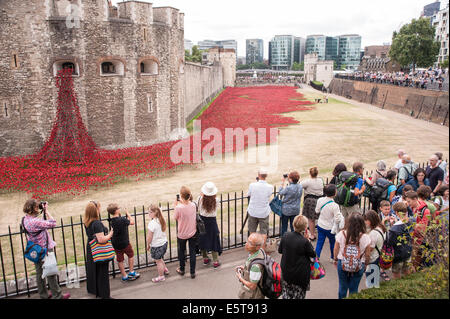 London, UK, 5 August 2014.  In the dry moat of the Tower of London, the evolving art installation called 'Blood Swept Lands and Seas of Red', by ceramic artist Paul Cummins, was unveiled to the public to recognise 100 years since the first full day of Britain’s involvement in the First World War.   Pictured : crowds view the poppies in the dry moat.   Credit:  Stephen Chung/Alamy Live News Stock Photo