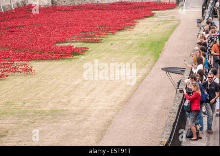 London, UK, 5 August 2014.  In the dry moat of the Tower of London, the evolving art installation called 'Blood Swept Lands and Seas of Red', by ceramic artist Paul Cummins, was unveiled to the public to recognise 100 years since the first full day of Britain’s involvement in the First World War.  Pictured : crowds view the poppies in the dry moat.   Credit:  Stephen Chung/Alamy Live News Stock Photo