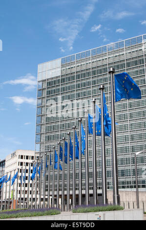 European Union flags next to the Berlaymont Building (European Commission) in Brussels, Wetstraat 200, Belgium Stock Photo