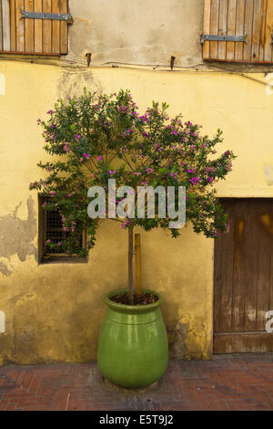 Yellow wall, Aix en Provence France Stock Photo