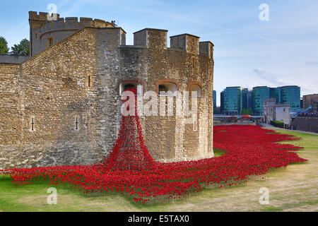 London, UK. 5th August 2014. The sea of poppies around the Tower of London at the opening of the  Blood Swept Lands and Seas of Red artwork by Paul Cummins. 888,246 ceramic poppies, each poppy representing a British or Colonial military fatality during the war, will fill the moat by November 11th. For the opening, battlefield images were projected onto the central tower while Tim Pigott-Smith read out names of the fallen during a 21 gun salute. The evening ended with the playing of the last post. Credit:  Paul Brown/Alamy Live News Stock Photo