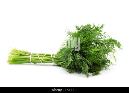 Bunch of fresh dill. Isolated on white background. Stock Photo