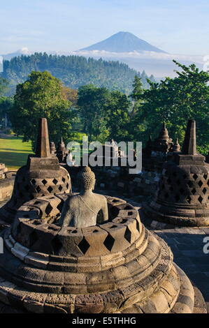 Early morning light at the stupas of the temple complex of Borobodur, UNESCO Site, Java, Indonesia, Southeast Asia, Asia Stock Photo
