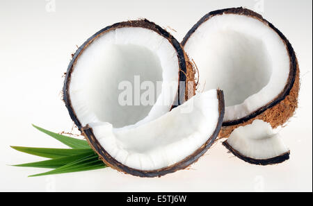 FRESH COCONUTS ON WHITE Stock Photo