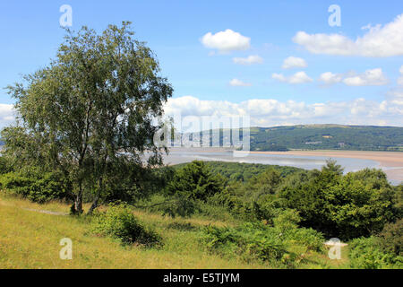 View From Arnside Knott National Trust Reserve Towards The Kent Estuary, Cumbria Stock Photo