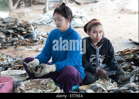 Young Burmese Myanmar child labour workers toiling in the Thai fishing industry near Hua Hin Thailand. Stock Photo
