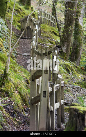 Path at Torrent Walk, Brithdir near Dolgellau, Gwynedd Stock Photo