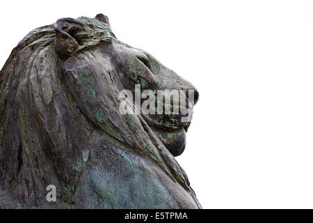 Bronze male lion statue Stock Photo