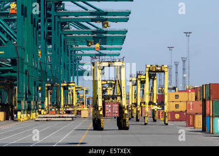 Mobile container spreaders at the MSC Home terminal in Port of Antwerp, Belgium. Stock Photo