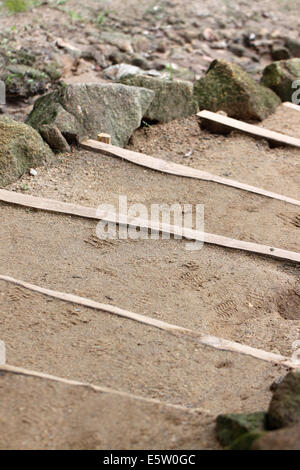 Stairs were made of sandy soil in the garden. Stock Photo