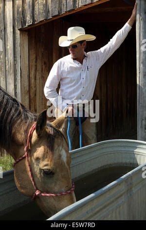 George Gaber the owner of La Reata Ranch near Kyle, Saskatchewan, Canada. Stock Photo