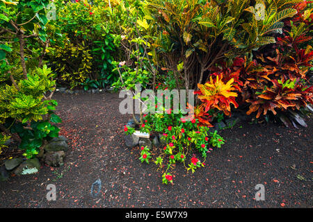 The Galaxy Garden, Paleaku Gardens Peace Sanctuary, Kona Coast, The Big Island, Hawaii USA Stock Photo