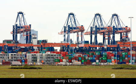 Container bridges at a container terminal at Europoort 2 in Rotterdam, Netherlands Stock Photo