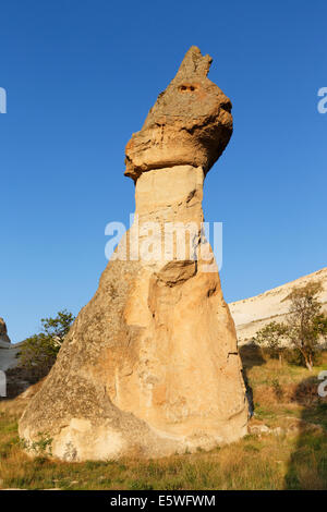 Fairy chimney in the form of a cat, tuff formation, Valley of the Monks, Pasabagi, Goreme National Park, Cappadocia Stock Photo