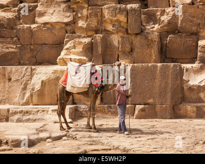 Camel and driver waiting for tourists by the Great Pyramid of Giza in Cairo, Egypt Stock Photo