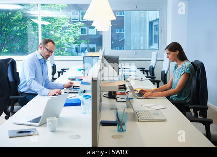 Colleagues working on either side of desk partition Stock Photo
