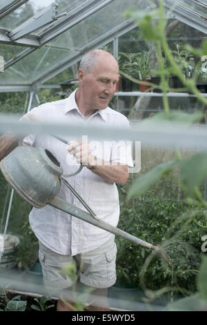Senior man watering plants in his garden greenhouse Stock Photo