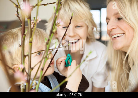 Close up of mid adult mother and two sons trimming blossom twigs in sitting room Stock Photo