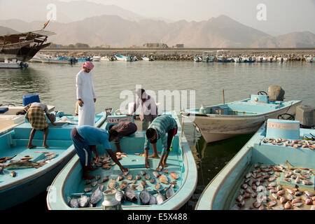 Fish market, Dibba, Oman Stock Photo