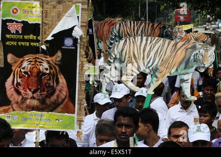 Dhaka, Bangladesh. 7th Aug, 2014. Making slogan 'Helping to Save Wild Tigers' International Tiger Day 2014 celebrated in Bangladesh. The goal of the Tiger Day is to promote protection and expansion of the wild tiger habitats and also to gain support awareness for tiger conservation. At present the number of wild tigers is at its lowest. In last 100 years, around 97 percent of the total tiger’s population have been lost. In 1913, the world has about 1 lakh wild tigers, which has dropped to 3000 in 2014. Stock Photo